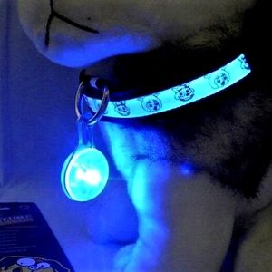 Light Up Dog Collar Flashing LED Safety